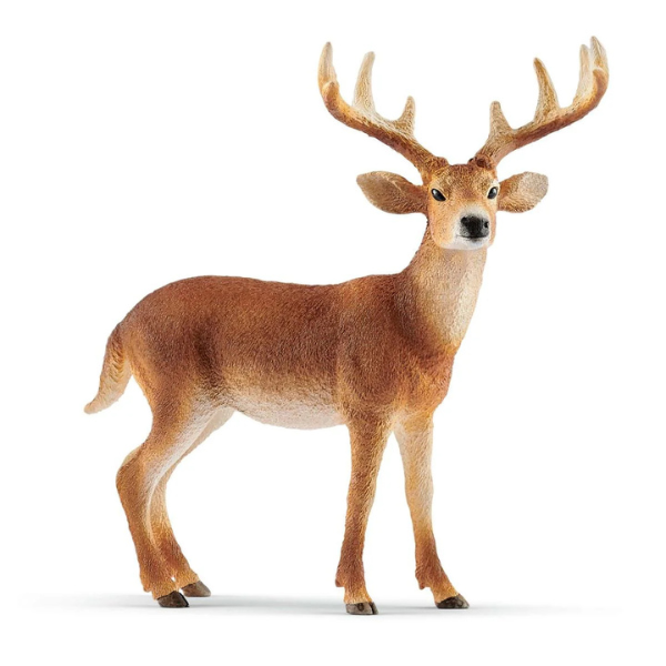 Schleich Wild Life White-tailed Buck Figurine