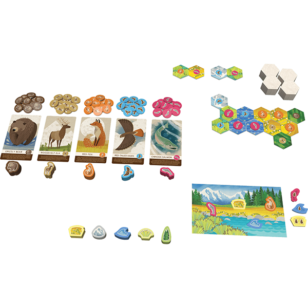 Cascadia Junior Board Game