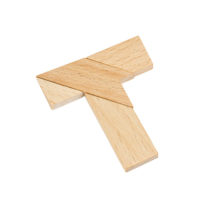 Professor Puzzle Matchbox Puzzles (Assorted)