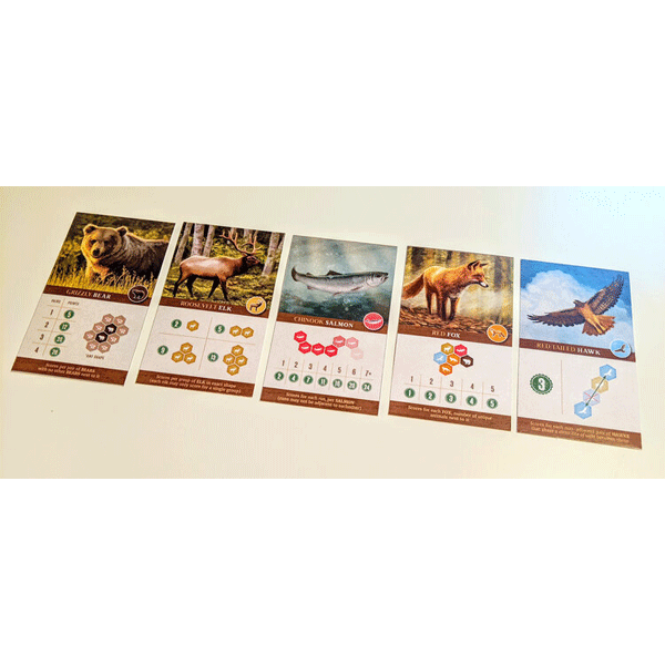 Cascadia Tabletop Game