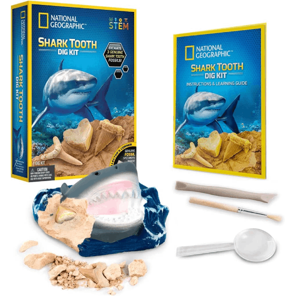 National Geographic Shark Tooth Dig Kit