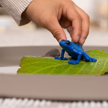 Schleich Wild Life Blue Poison Dart Frog Figurine
