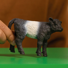 Schleich Galloway Calf Figurine