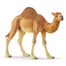 Schleich Wild Life Dromedary Figurine