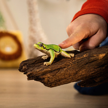 Schleich Wild Life European Tree Frog Figurine