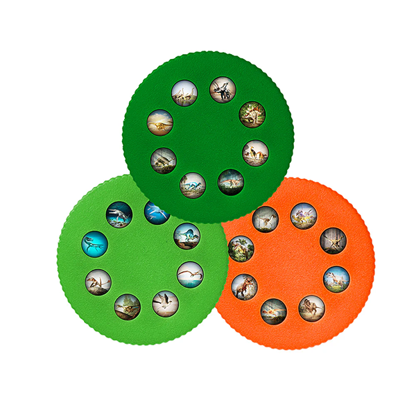 Thames & Kosmos - Wonder Lights: Dinosaurs - Educational Flashlight Projector