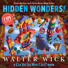 Can You See What I See?: Hidden Wonders Book