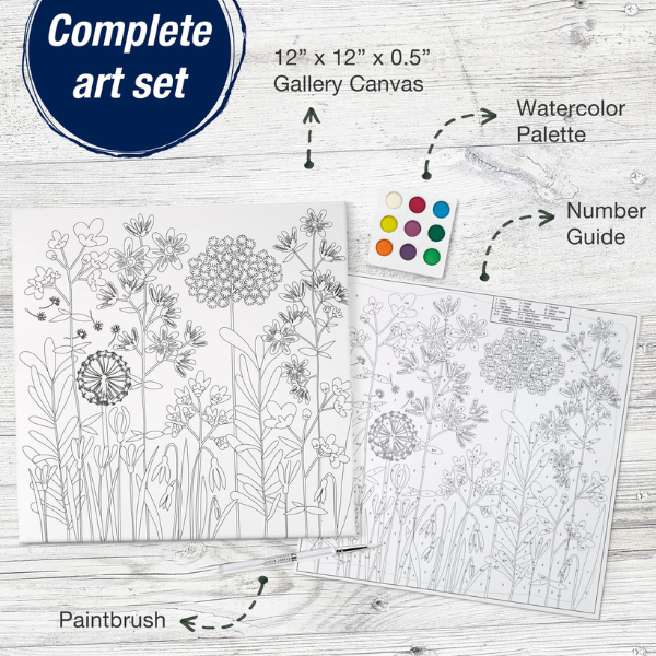 fabercastell-paintbynumberwatercolour-completeset