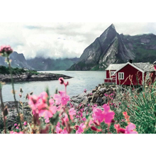 ravensburger-lofotennorway-picture
