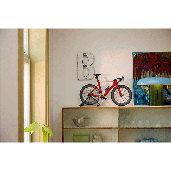 LEGO Icons 11380 Road Bike