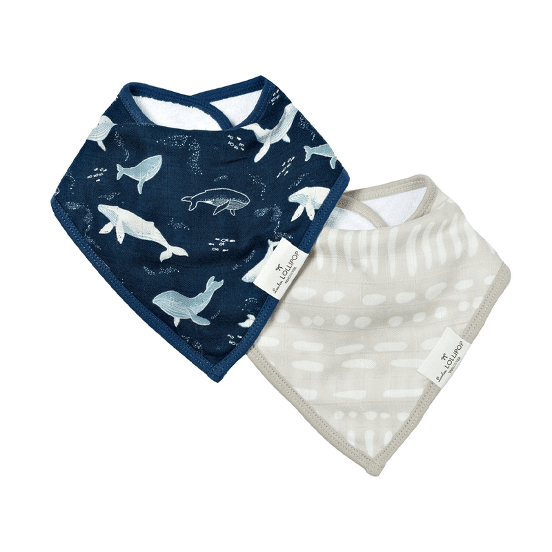 LouLou Lollipop Bandana Bib Set - Whales