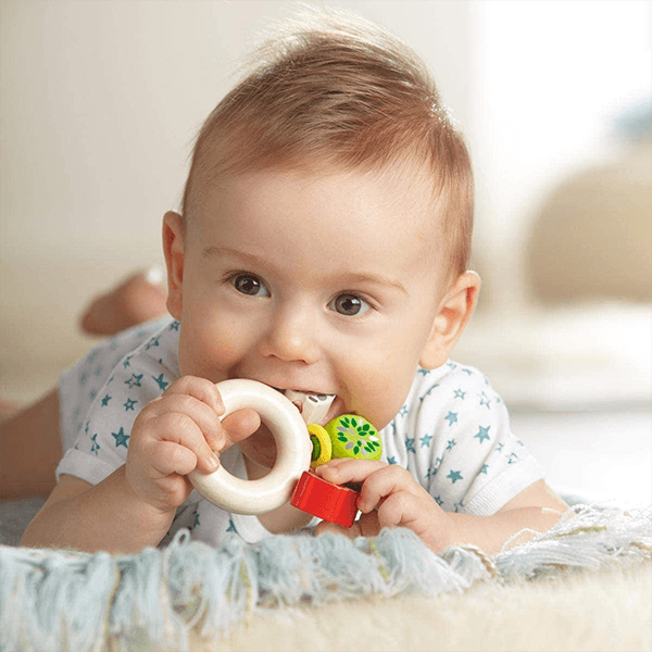 Haba Clutching Toy Farm World