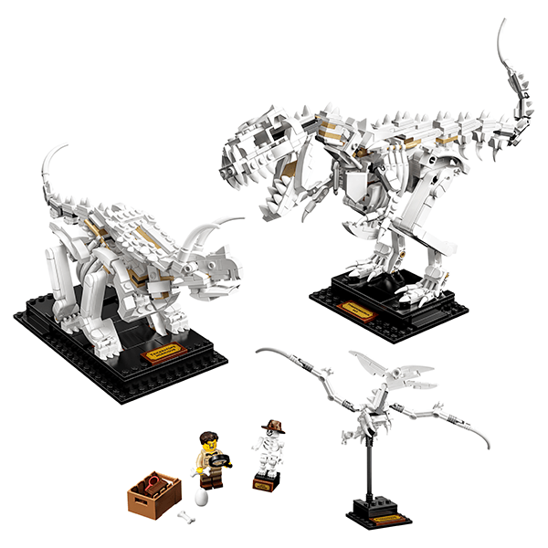 Discontinued LEGO® Ideas 21320 Dinosaur Fossils