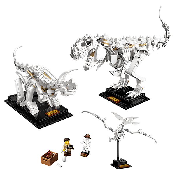 LEGO® Ideas 21320 Dinosaur Fossils