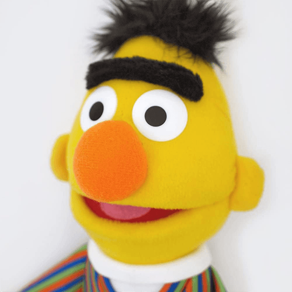 GUND Sesame Street 14 Inch Bert