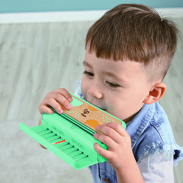 Hape Learn with Lights Harmonica