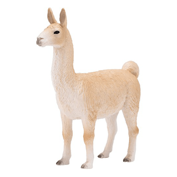 Mojo Llama