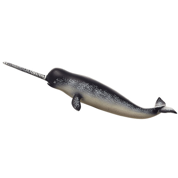 Mojo Narwhal