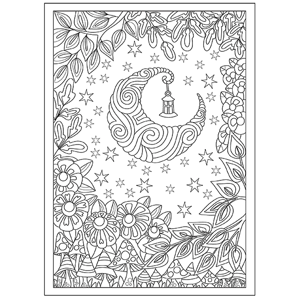 Creative Haven Entangled Starry Skies Colouring Book