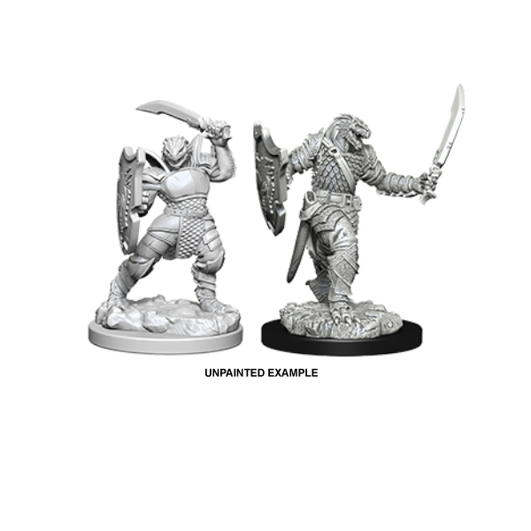 D&D Nolzur's Marvelous Unpainted Miniatures: Wave 5: Dragonborn Female Paladin