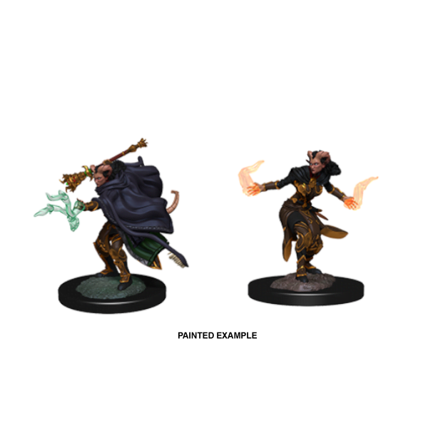 D&D Nolzur's Marvelous Unpainted Miniatures: Wave 6: Tiefling Female Warlock