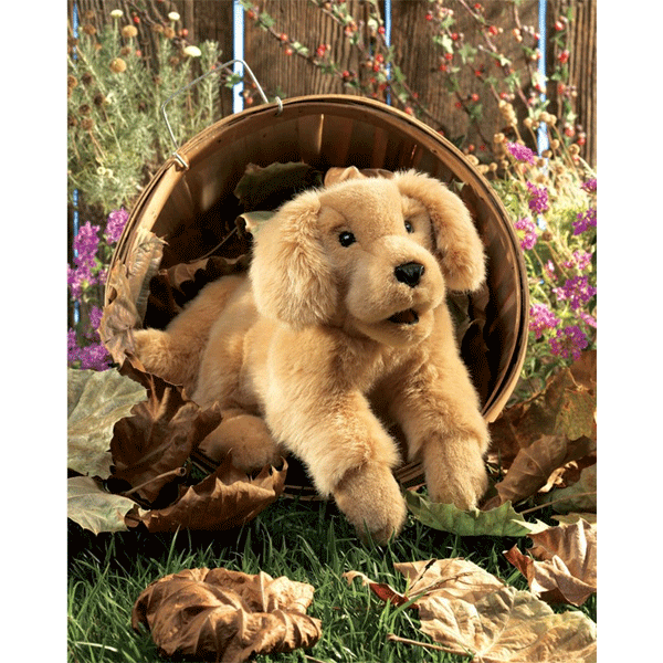 Folkmanis Puppets Golden Retriever Puppy