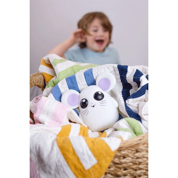 Where's Squeaky? Hide-and-Seek Game