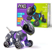 Educational Insights Pyxel - A Coder’s Best Friend
