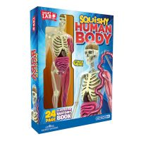 Smartlab Squishy Human Body