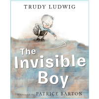The Invisible Boy Hardcover Book