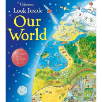 Usborne Look Inside Our World Board Book