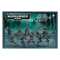 Warhammer 40,000: Wyches